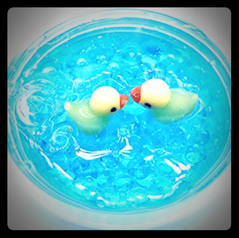 Duck slime